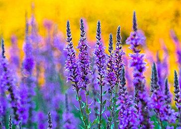 B站游戏大赏：解密冒险游戏《文字游戏》发售预告公开